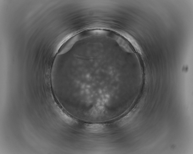 X0000091061337200708061234