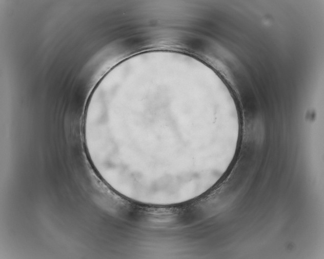 X0000091061338200708061234