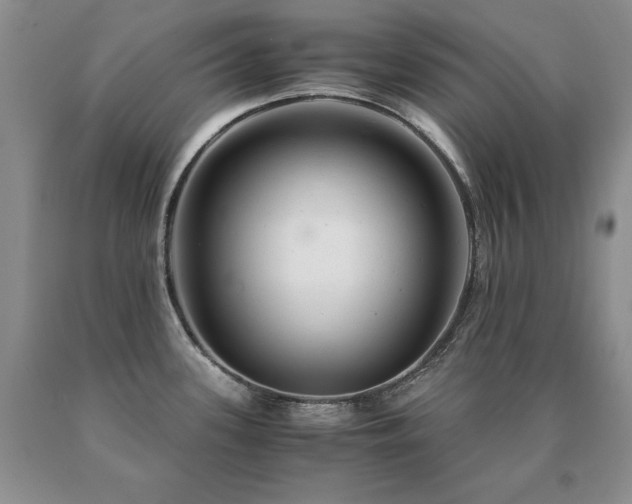 X0000091061339200708061234