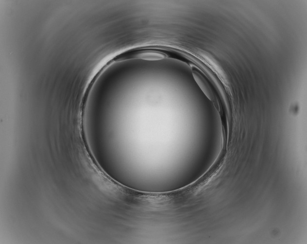 X0000091061340200708061234