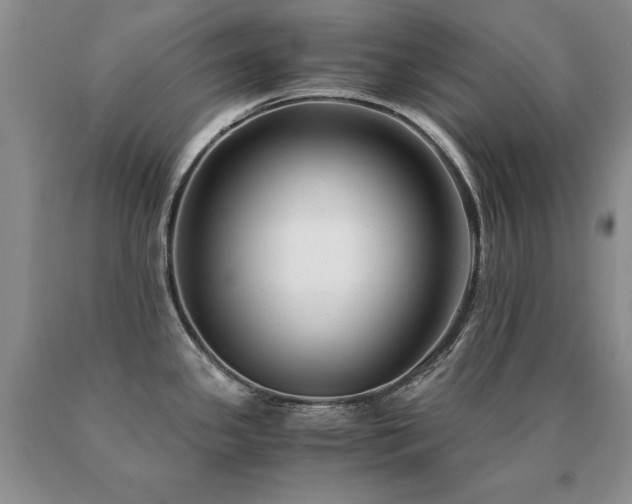 X0000091061341200708061234