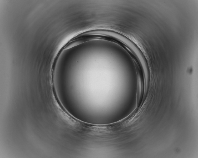 X0000091061342200708061234