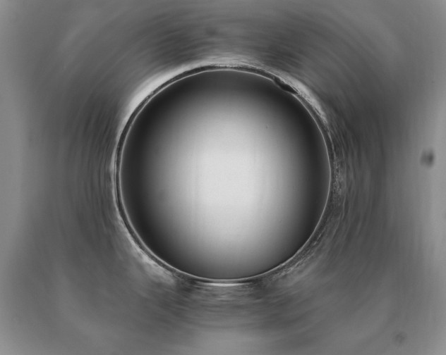 X0000091061343200708061234
