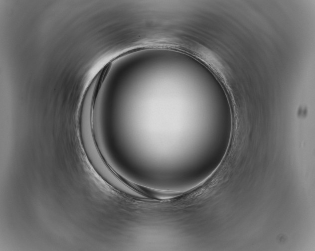 X0000091061344200708061234
