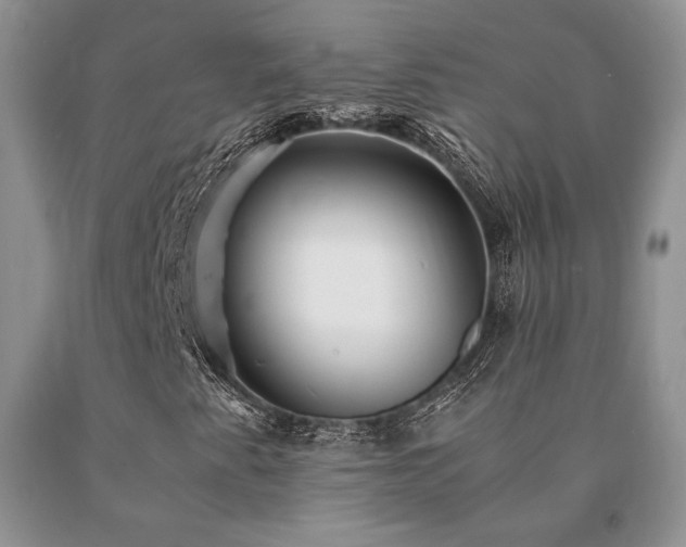 X0000091061345200708061234