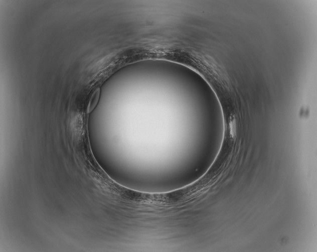 X0000091061347200708061234