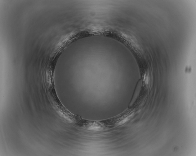 X0000091061348200708061234