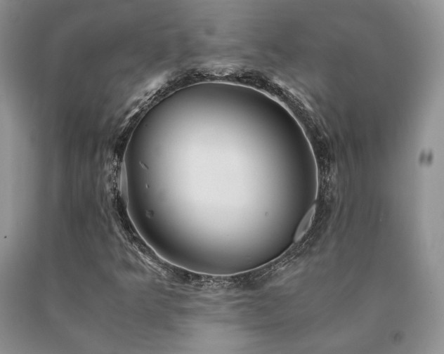 X0000091061349200708061234