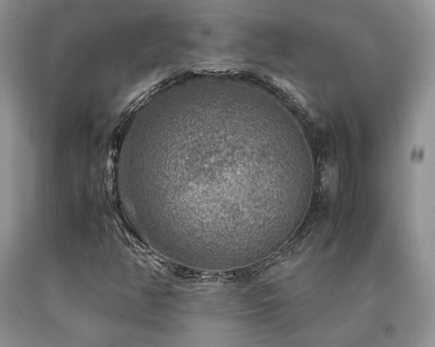X0000091061350200708061234