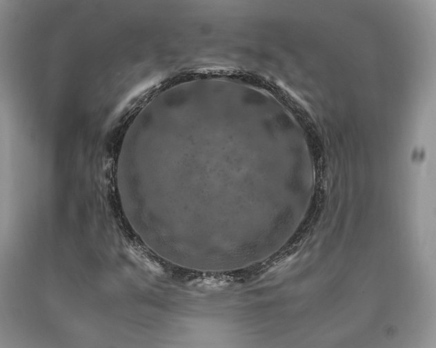 X0000091061351200708061234