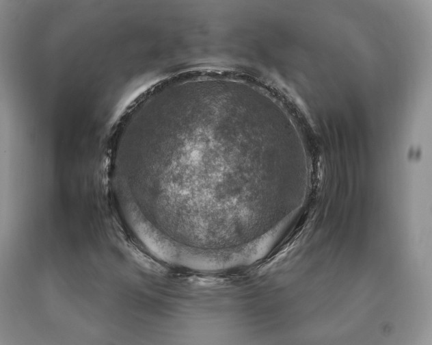 X0000091061352200708061234