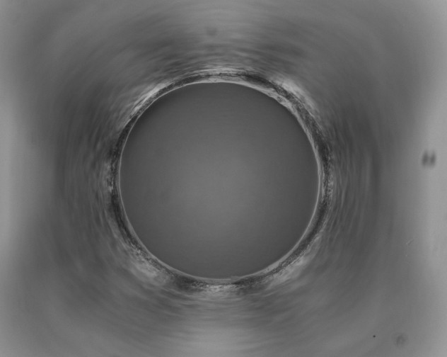 X0000091061353200708061234