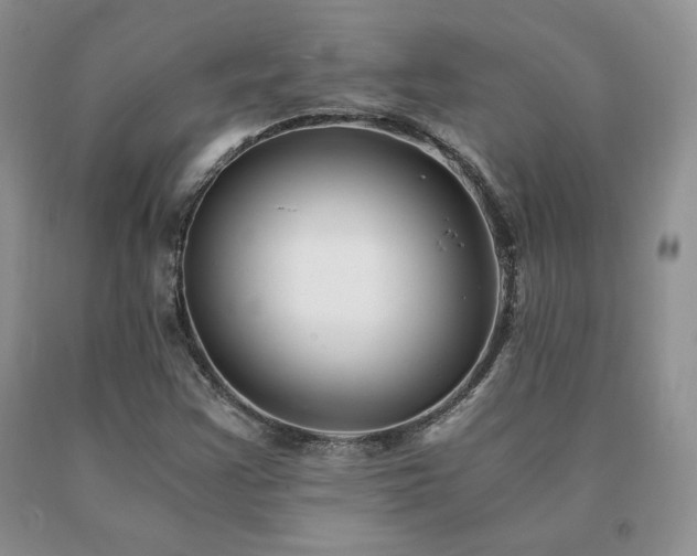 X0000091061355200708061234