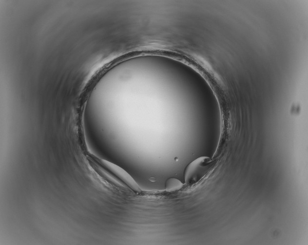 X0000091061356200708061234