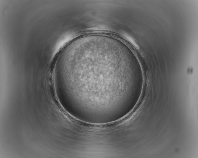 X0000091061357200708061234