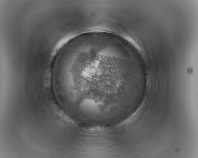 X0000091061358200708061234