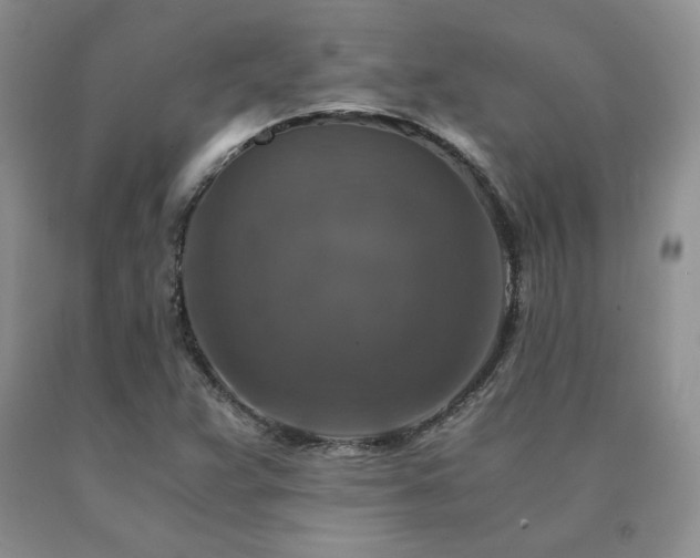 X0000091061359200708061234