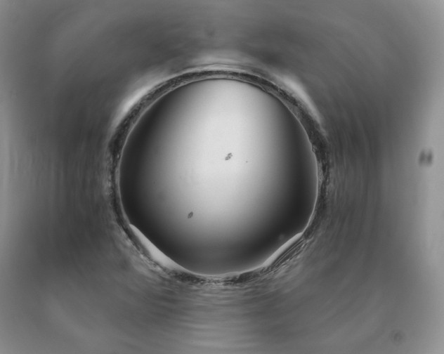 X0000091061360200708061234