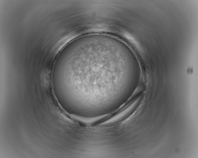 X0000091061361200708061234