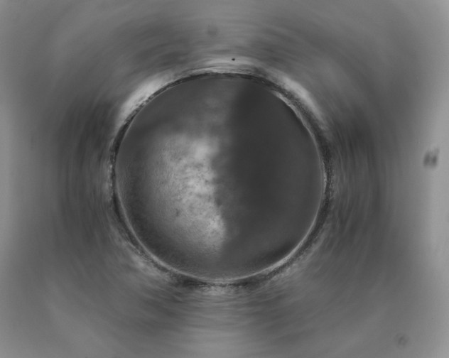 X0000091061362200708061234