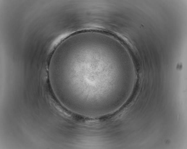 X0000091061363200708061234