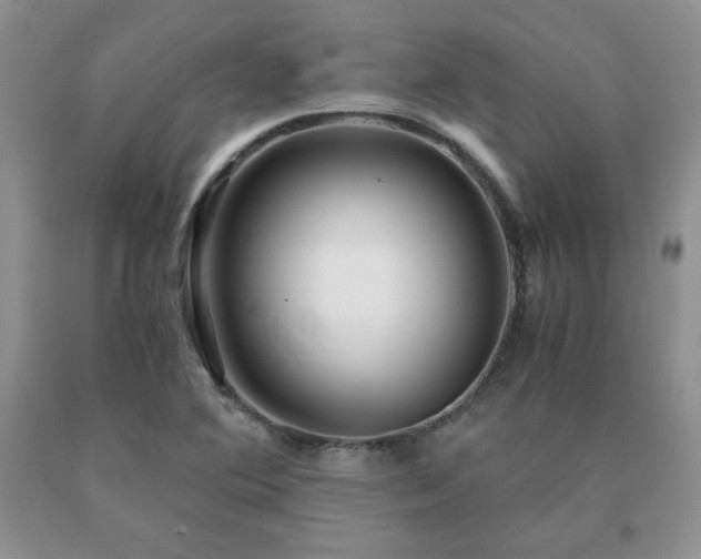 X0000091061364200708061234
