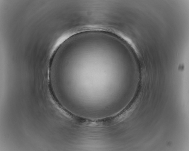 X0000091061365200708061234