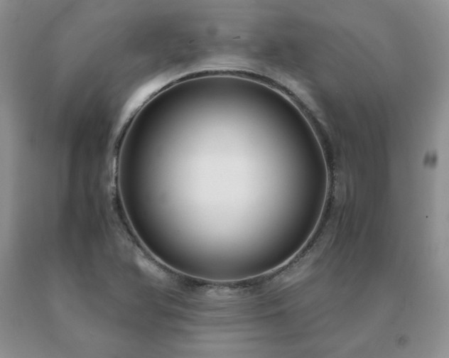 X0000091061366200708061233