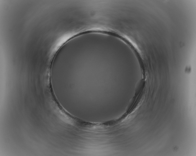 X0000091061367200708061233