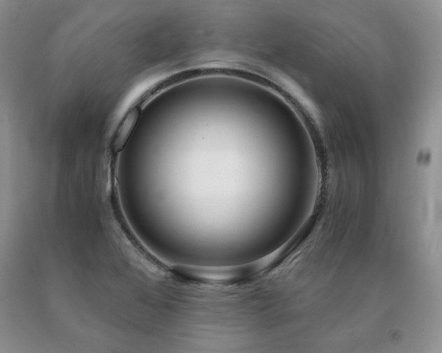 X0000091061368200708061233