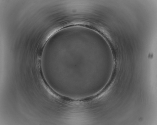 X0000091061369200708061233