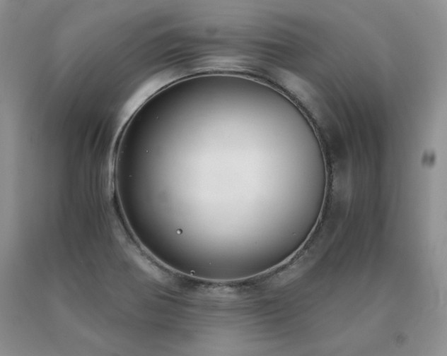 X0000091061370200708061233