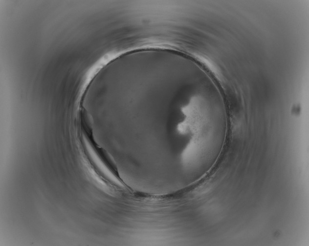 X0000091061371200708061233