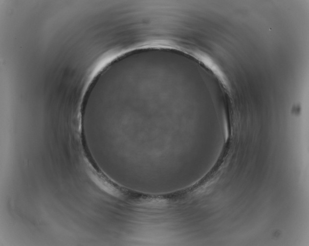 X0000091061372200708061233