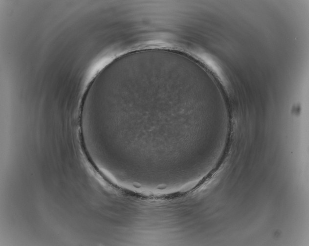 X0000091061373200708061233
