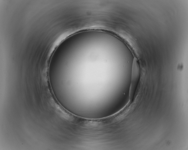X0000091061374200708061233