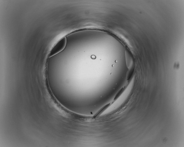 X0000091061375200708061233