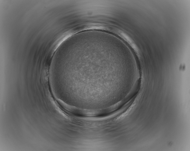 X0000091061377200708061233