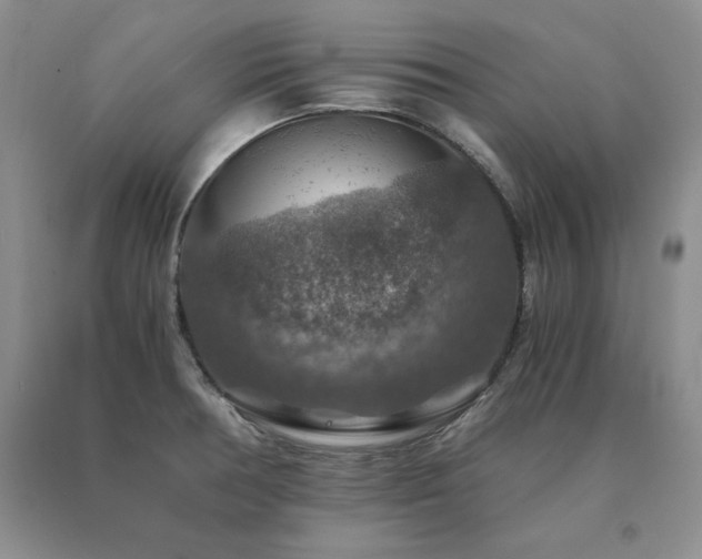 X0000091061378200708061233