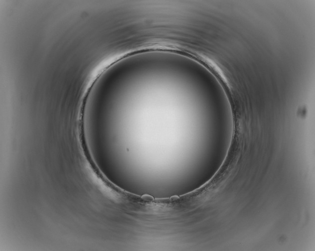 X0000091061379200708061233