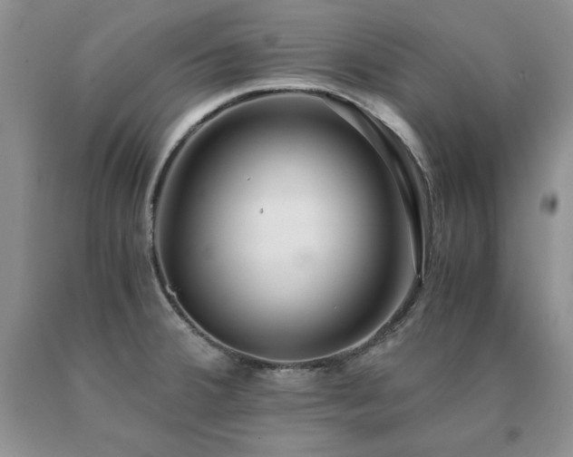 X0000091061380200708061233