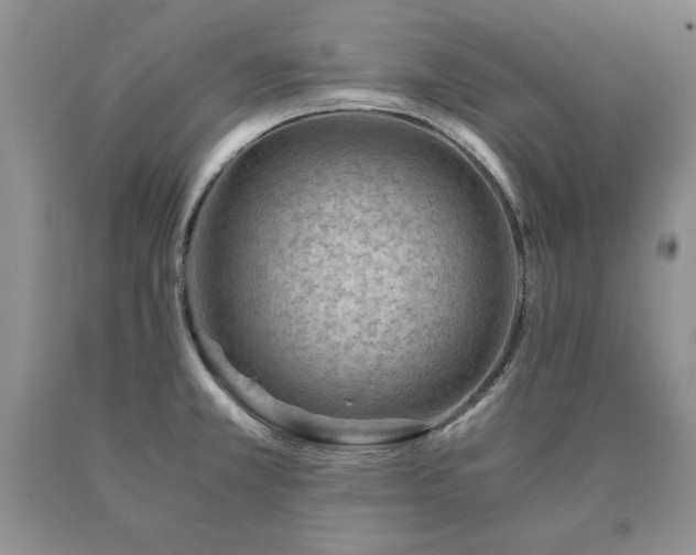 X0000091061381200708061233