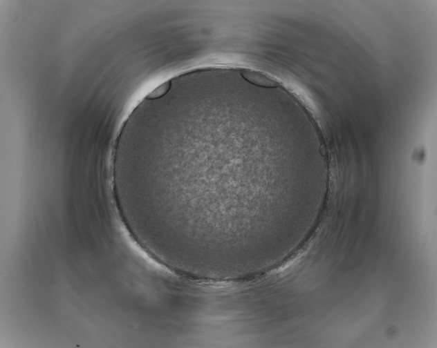 X0000091061382200708061233