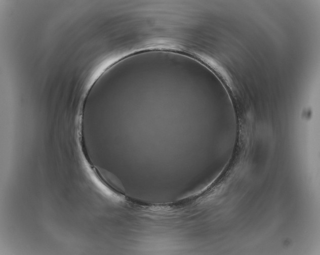 X0000091061383200708061233