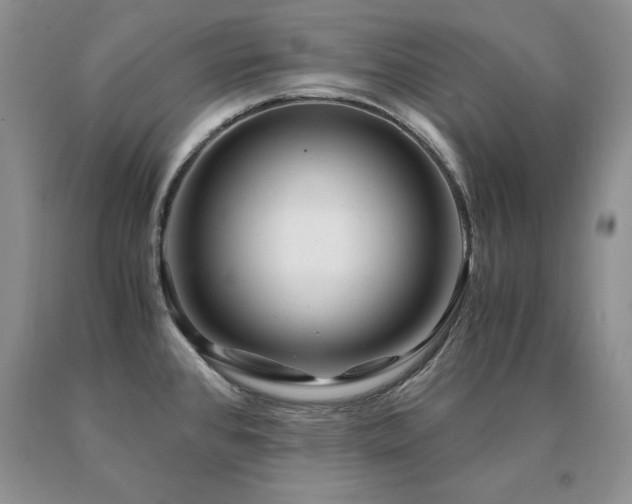 X0000091061384200708061233