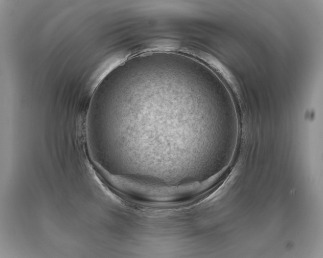 X0000091061385200708061233