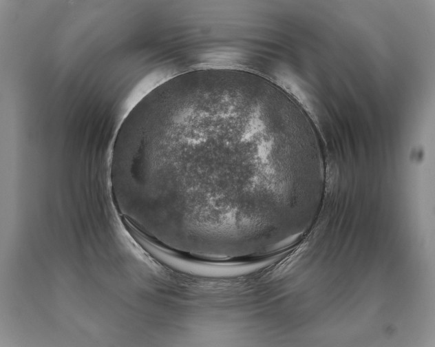 X0000091061386200708061233