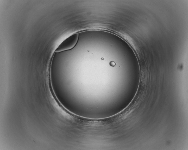 X0000091061387200708061233
