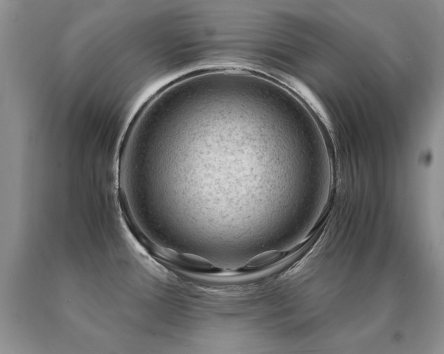 X0000091061388200708061233