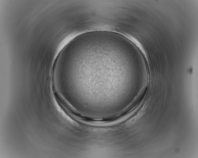 X0000091061389200708061233